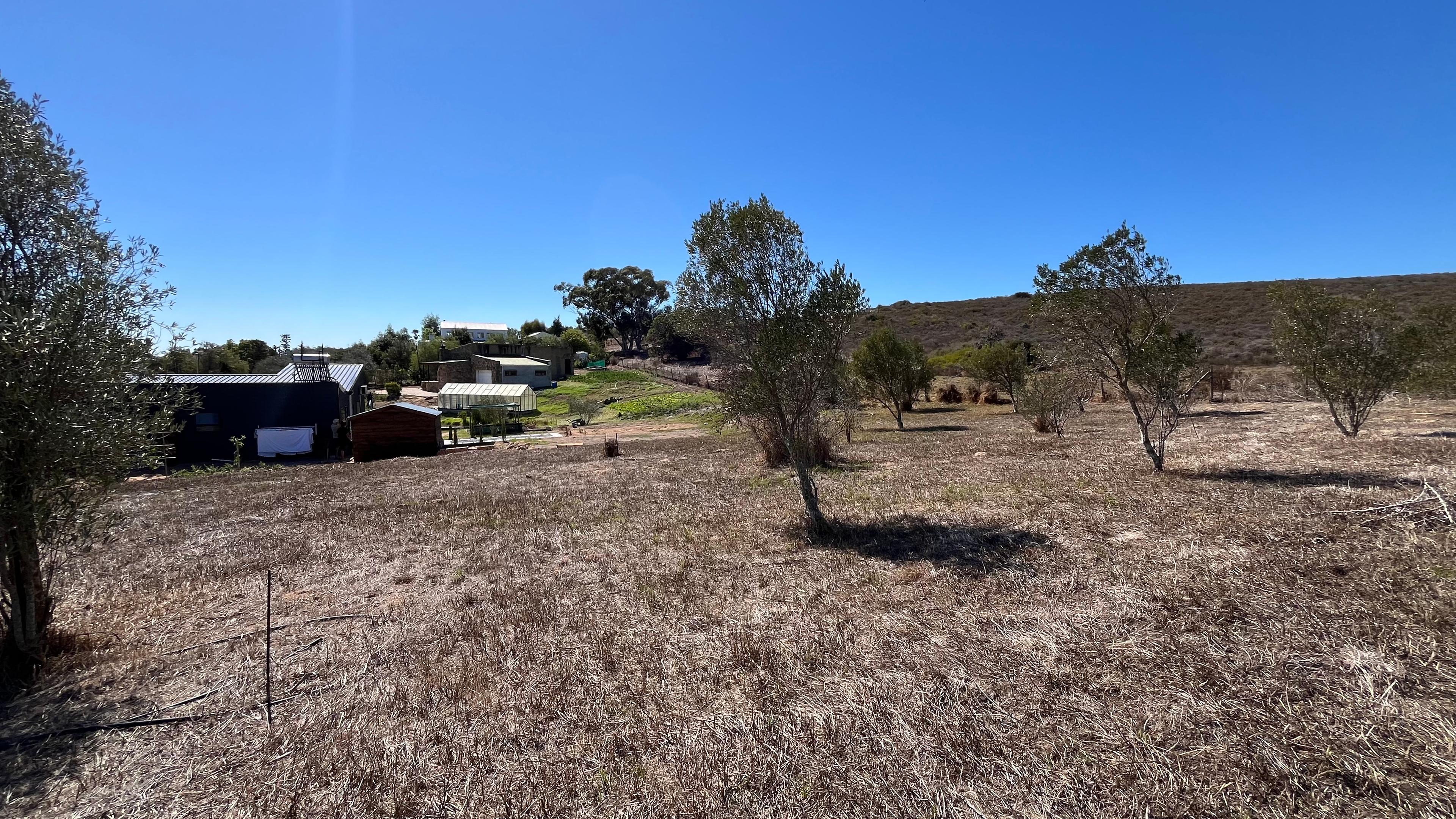 Image 4 of 6