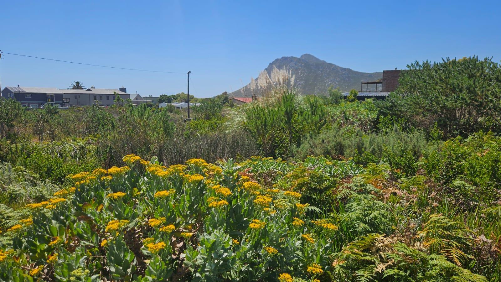 Image 5 of 6