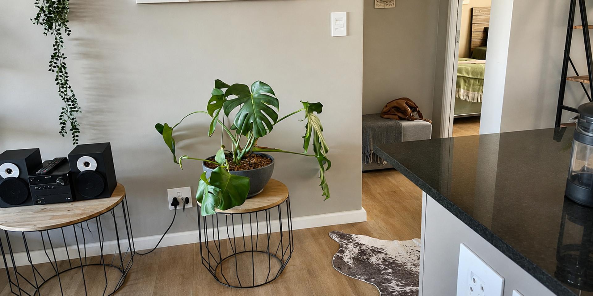 Image 4 of 6