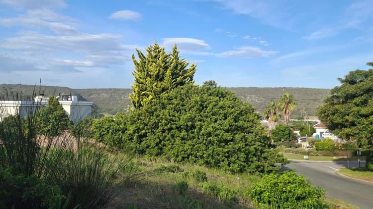 Main property image