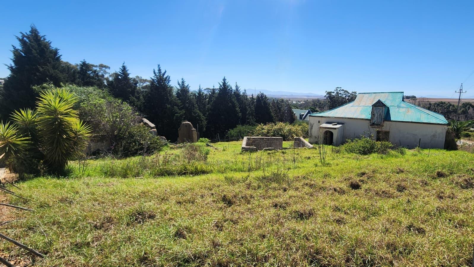 Image 4 of 6