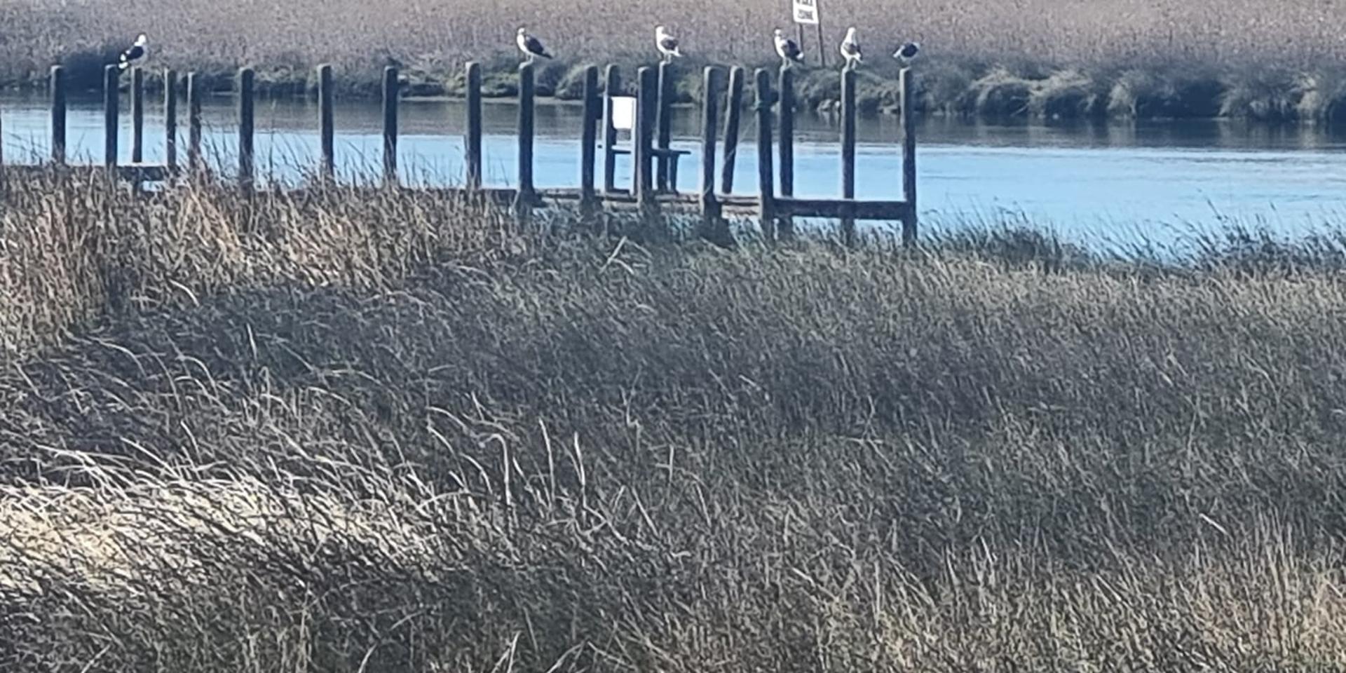 Image 5 of 6