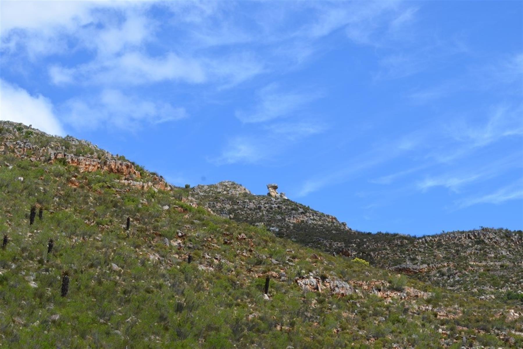 Image 54