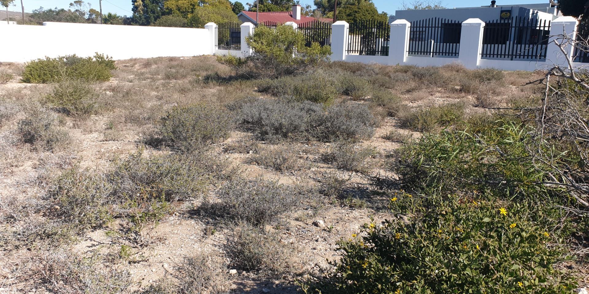 Image 2 of 6