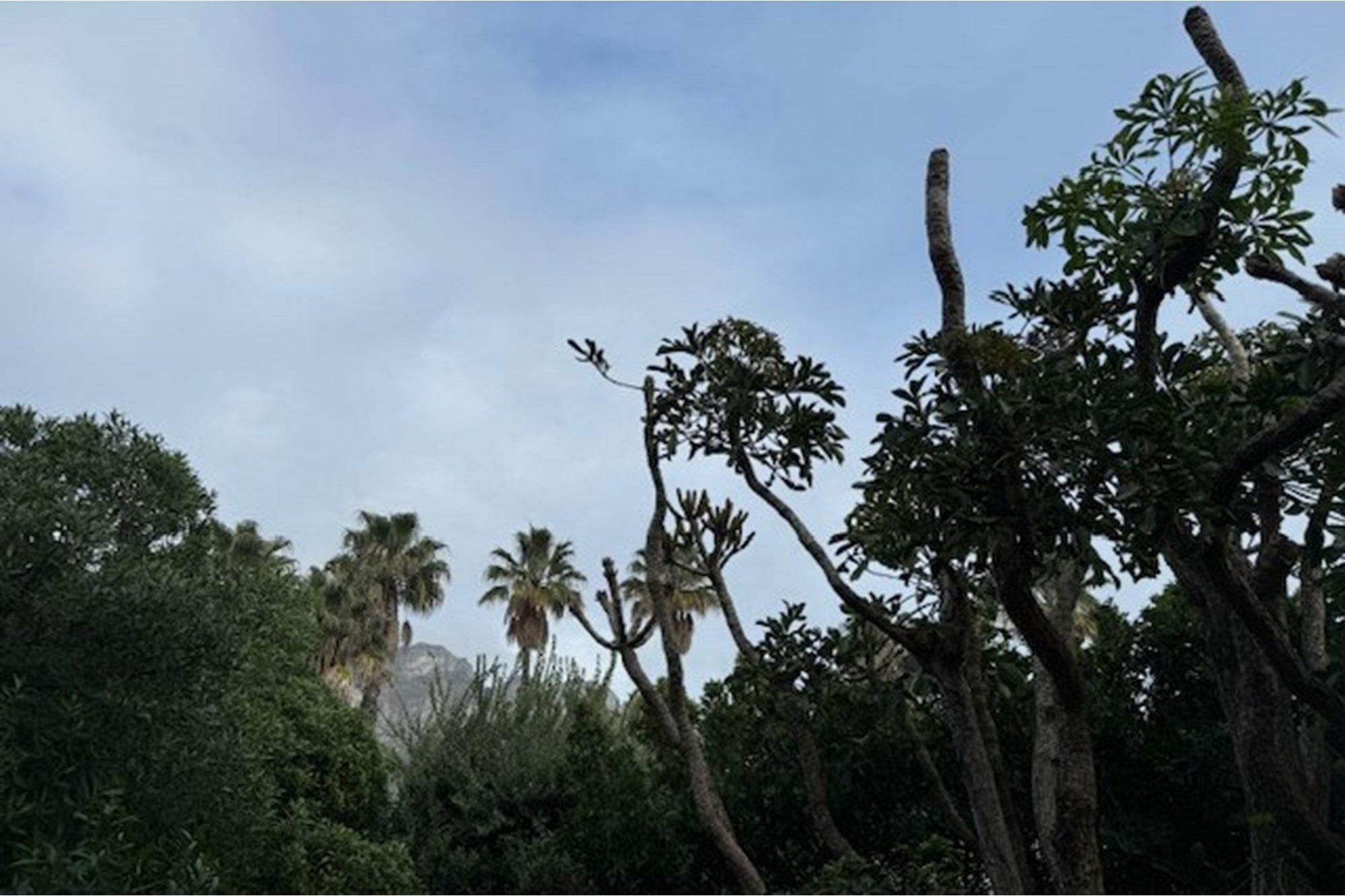 Image 42