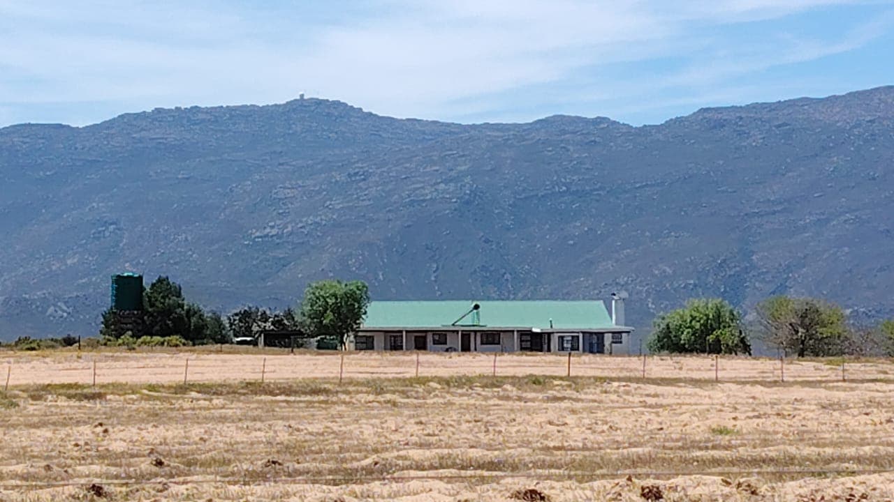 Image 3 of 6
