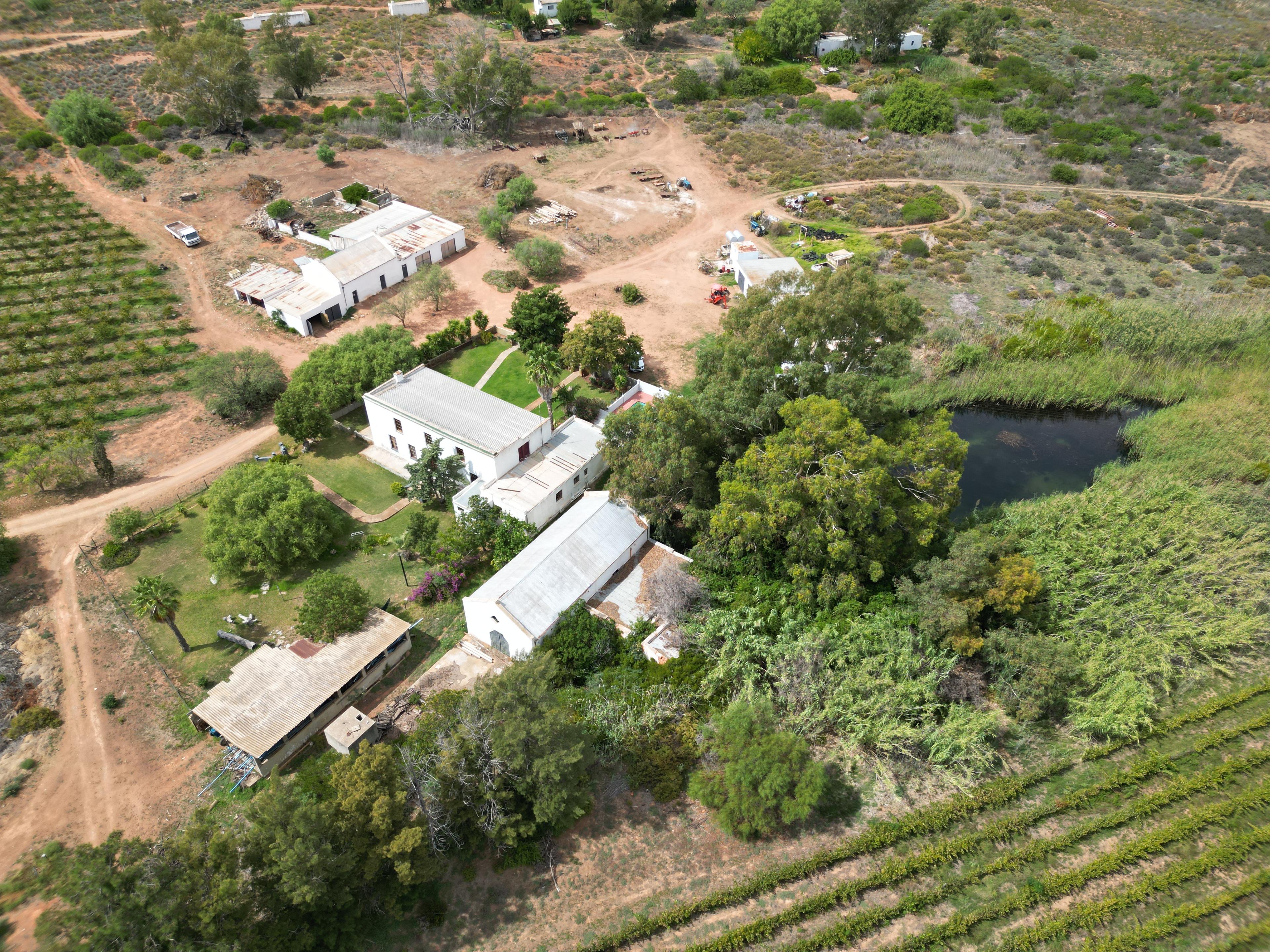 Image 14
