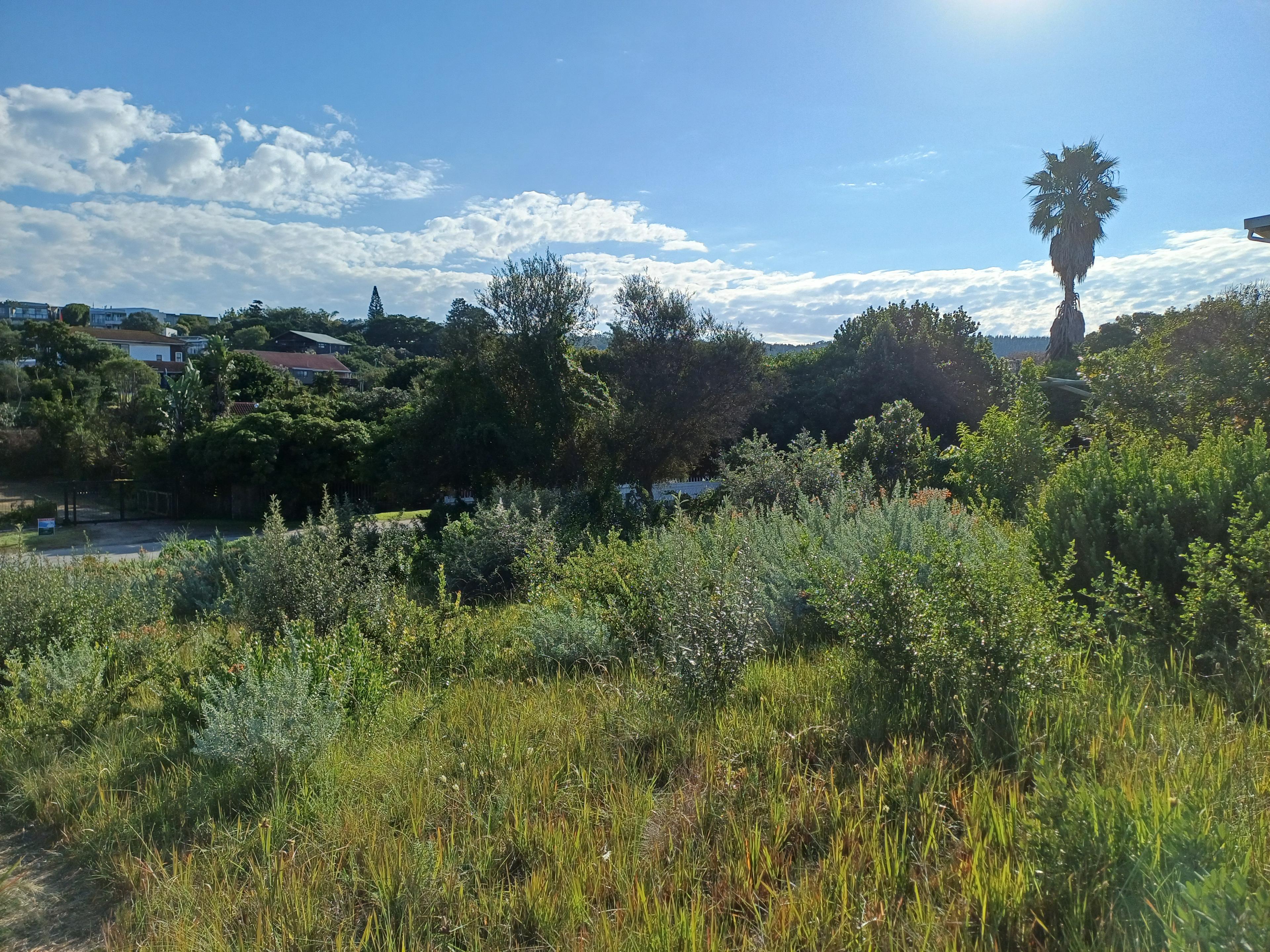 Image 15