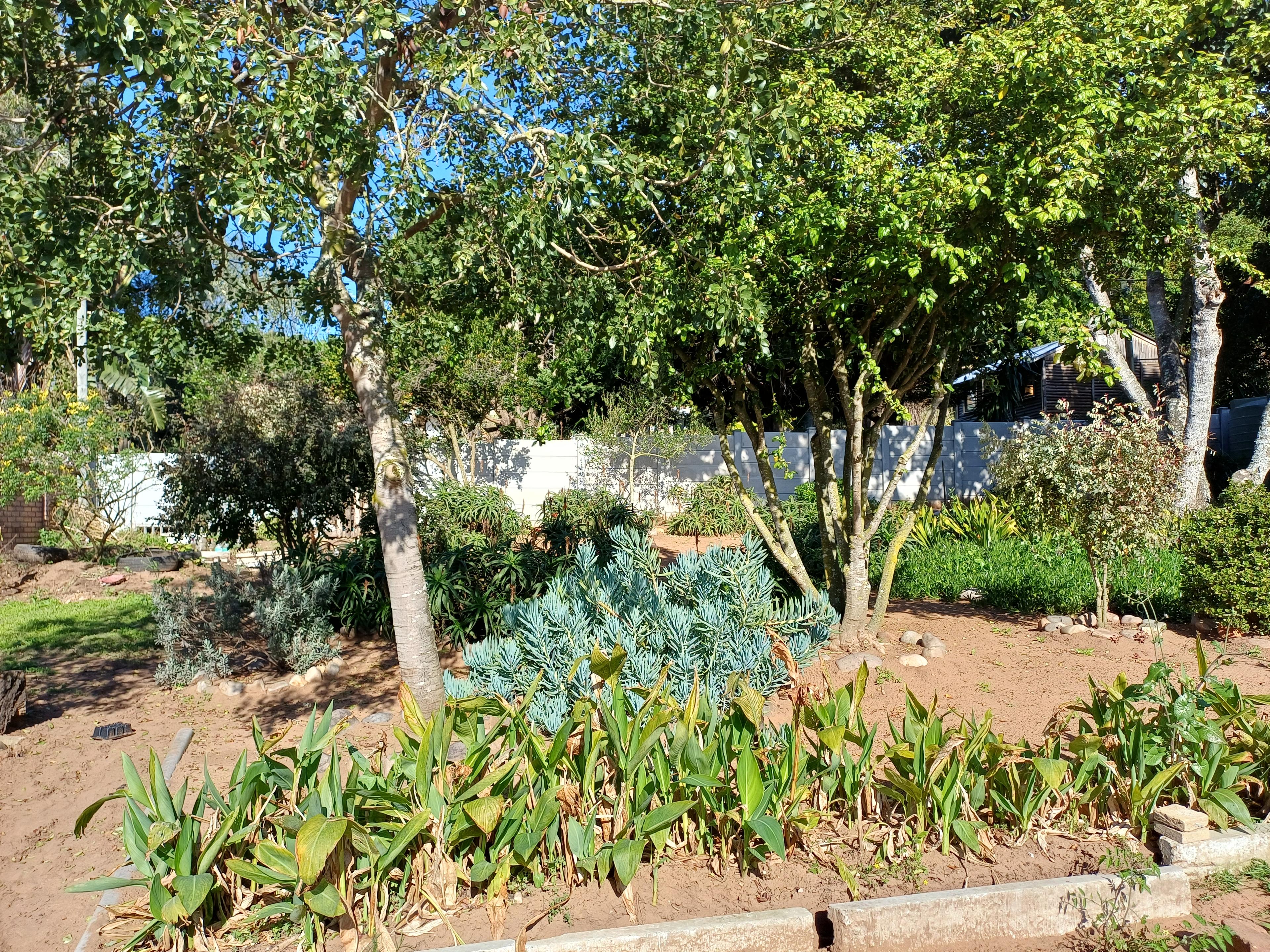 Image 34