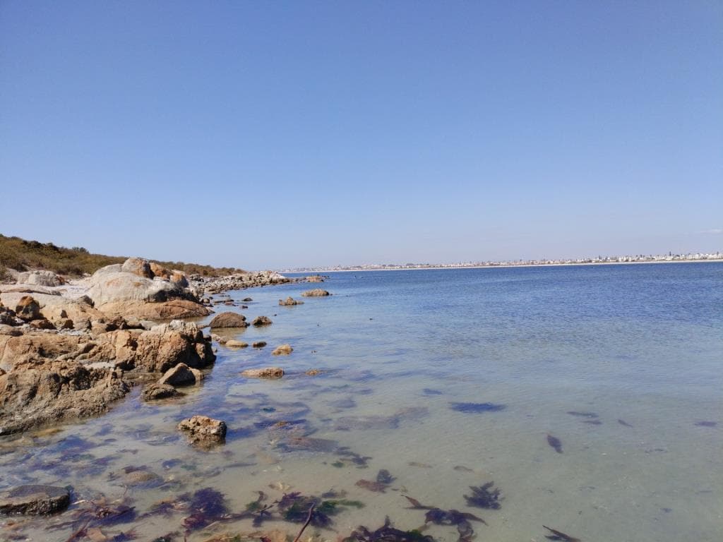 Image 5 of 6