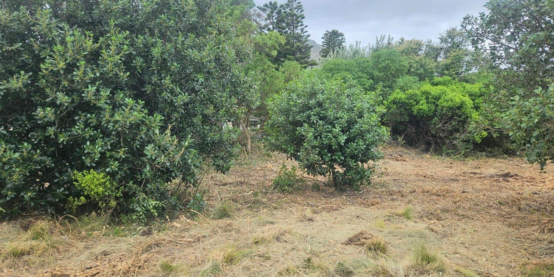 Image 4 of 6