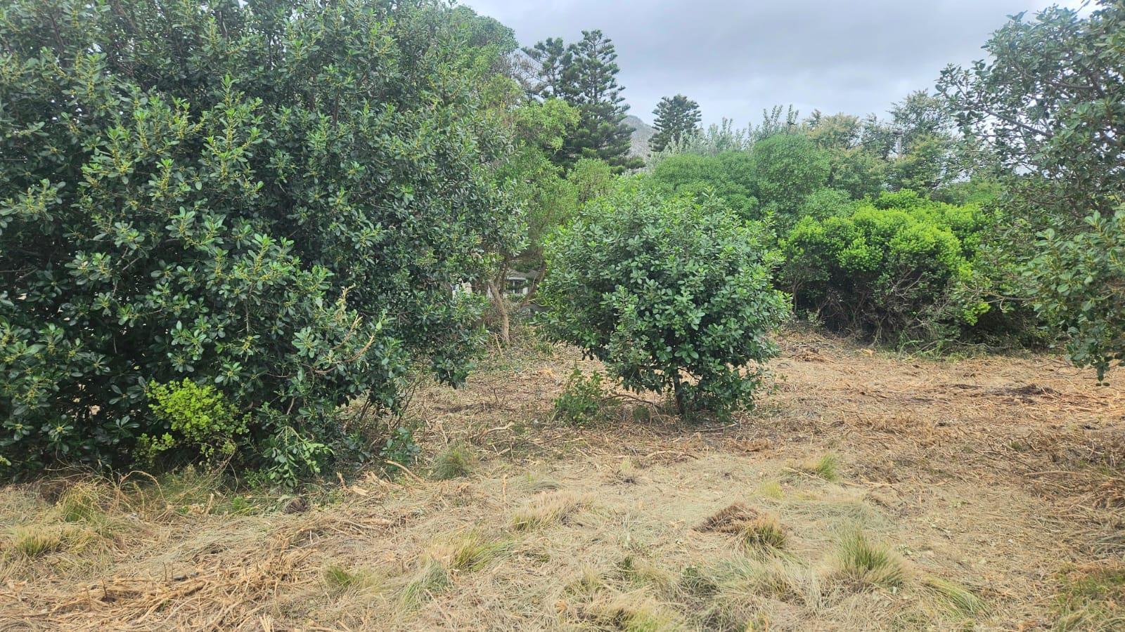 Image 4 of 6