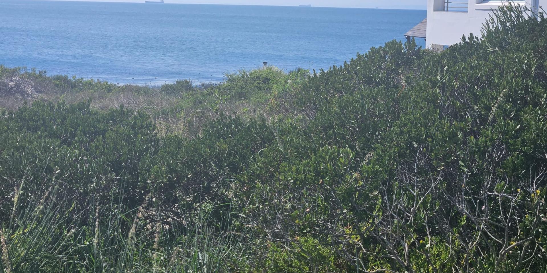 Image 5 of 6