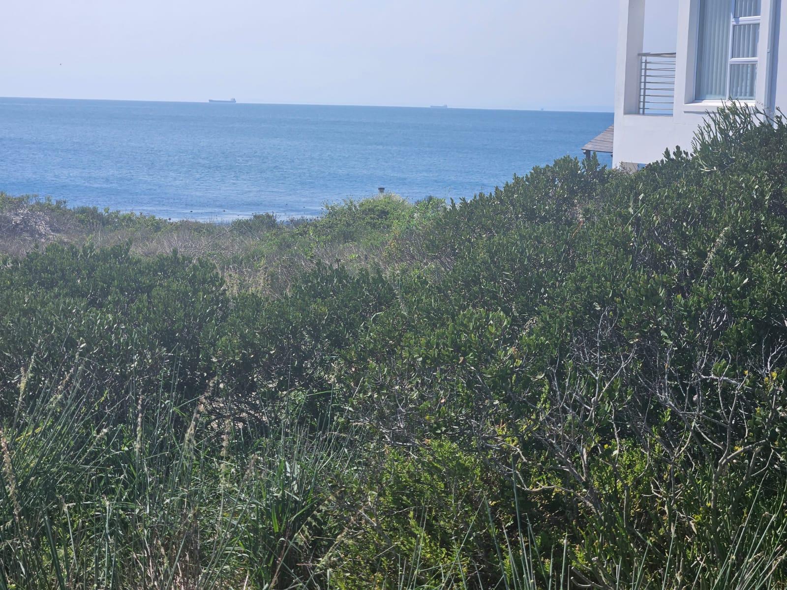 Image 5 of 6
