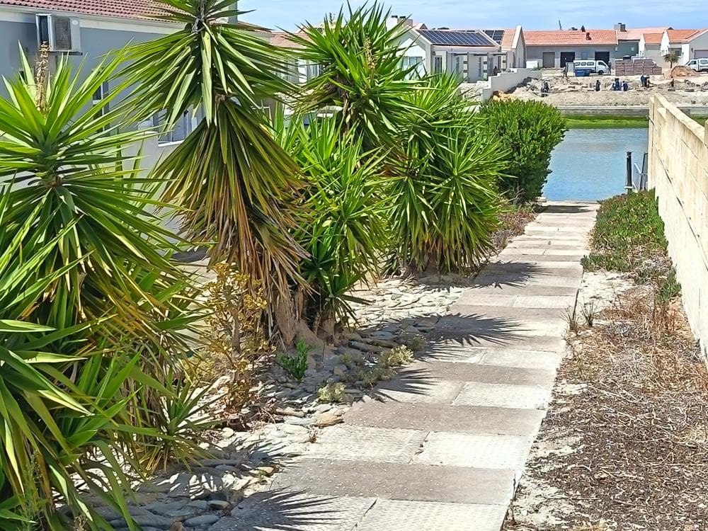 Image 3 of 6