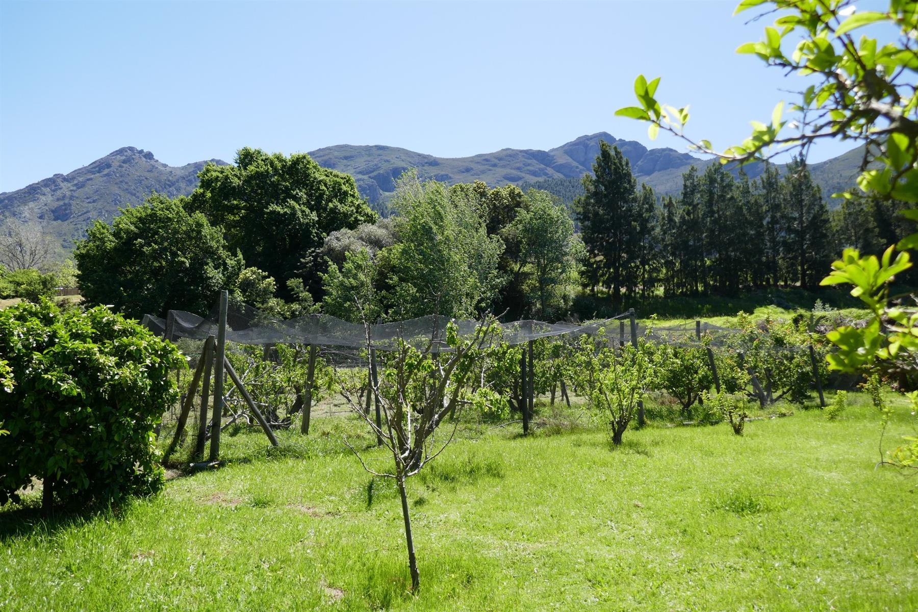 Image 3 of 6