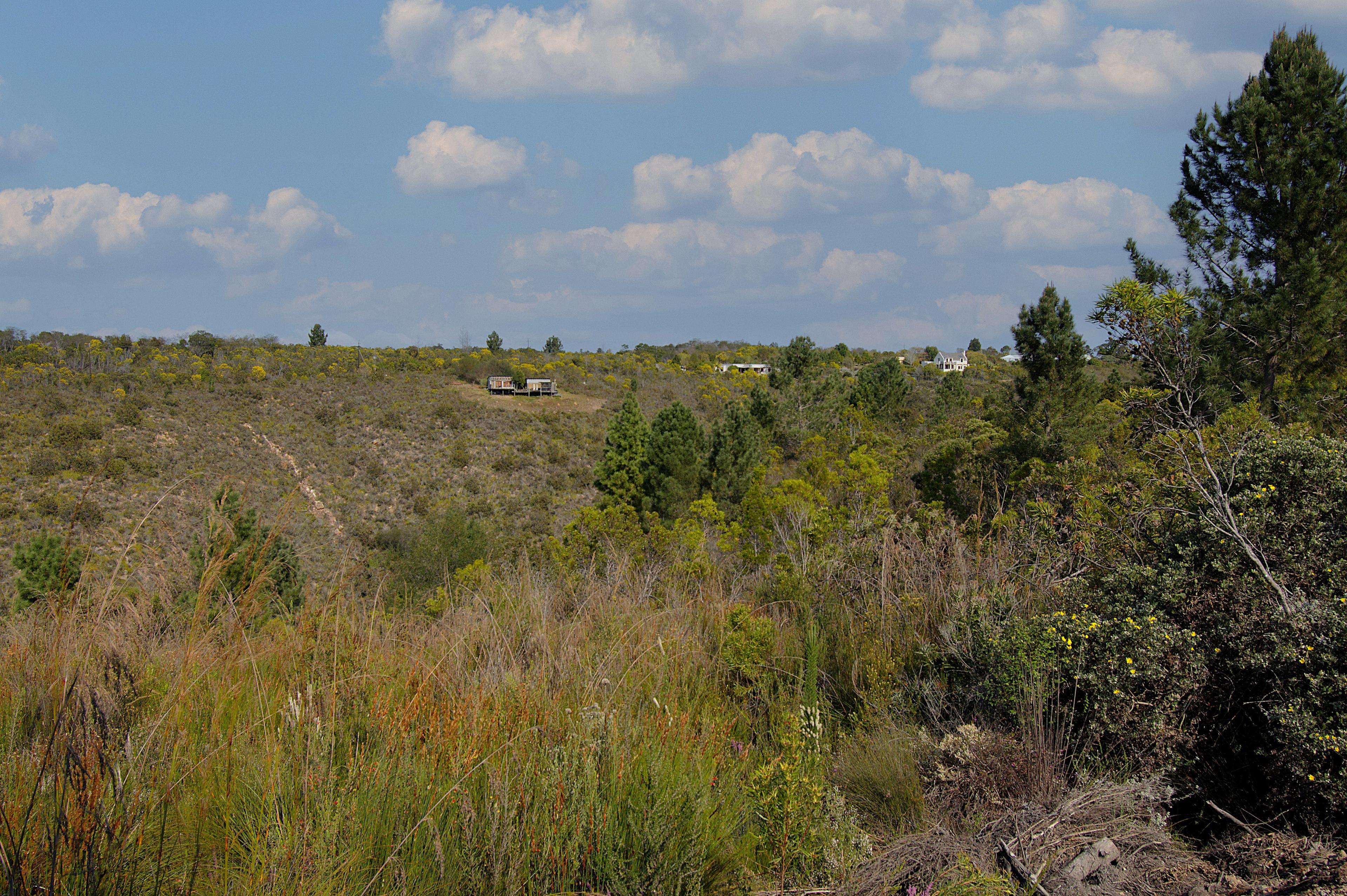 Image 4 of 6