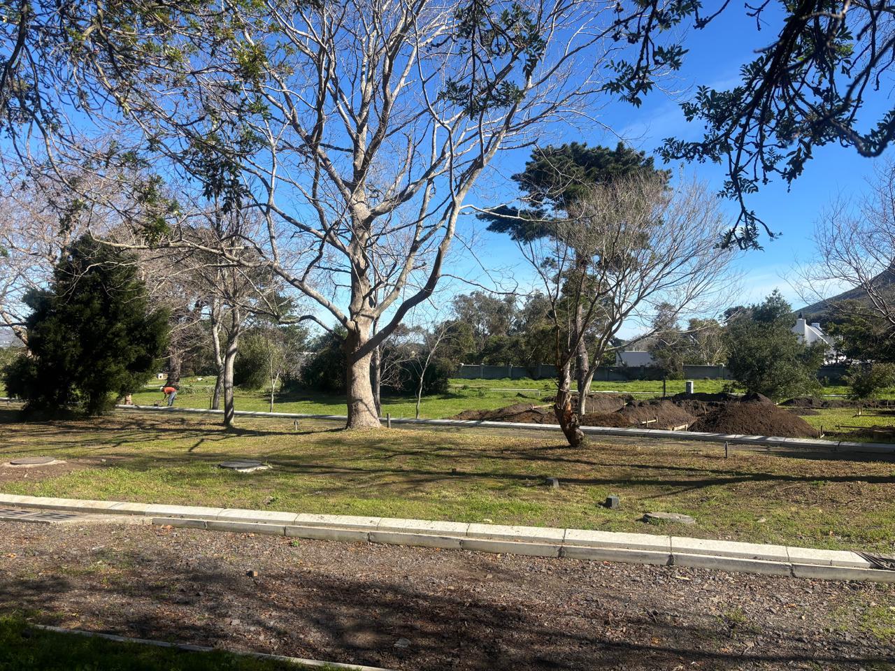 Image 2 of 6