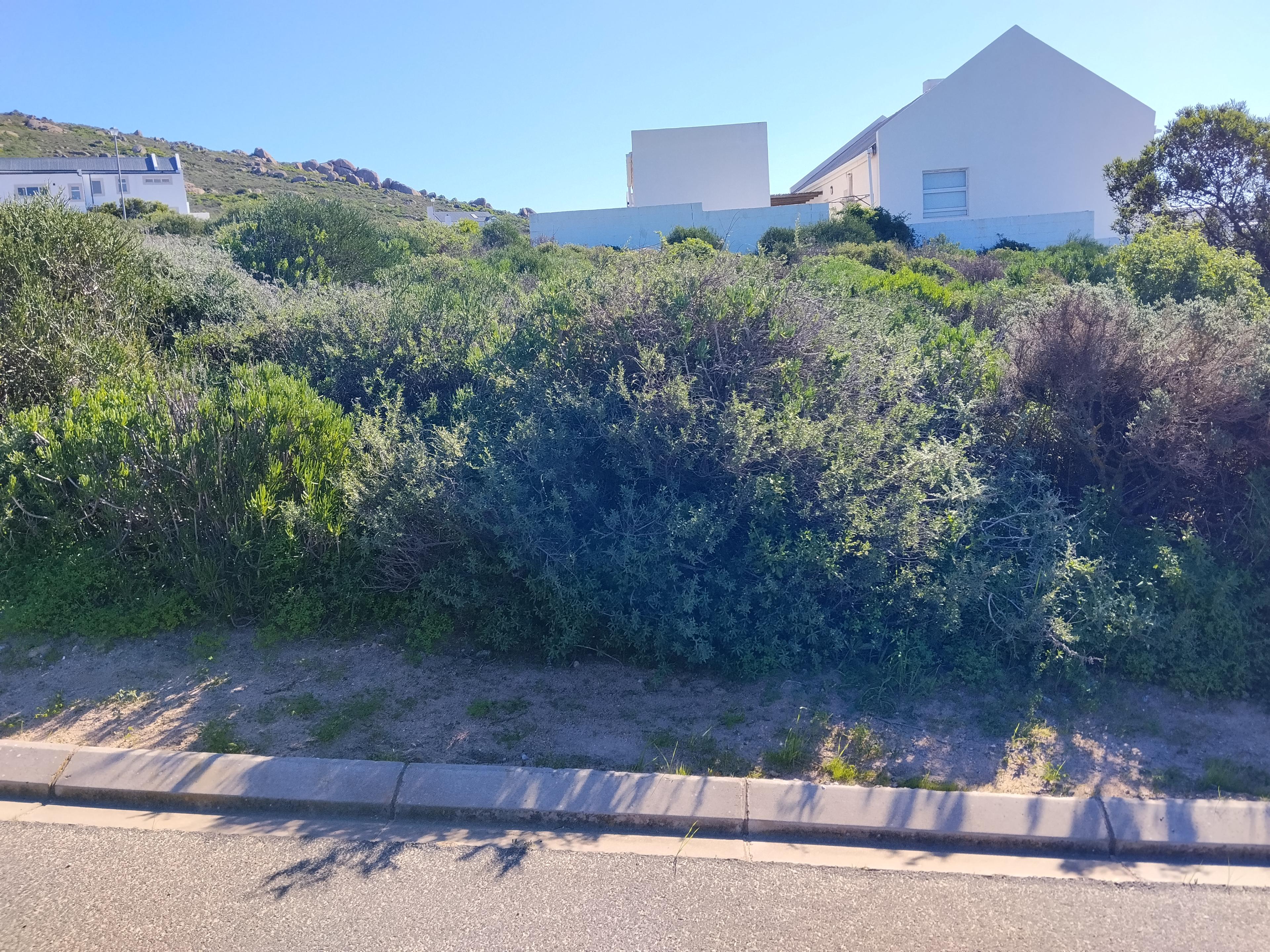 Image 5 of 6