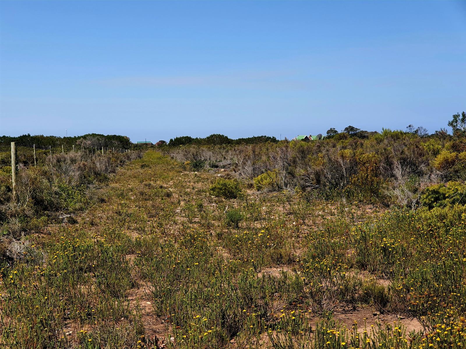 Image 36