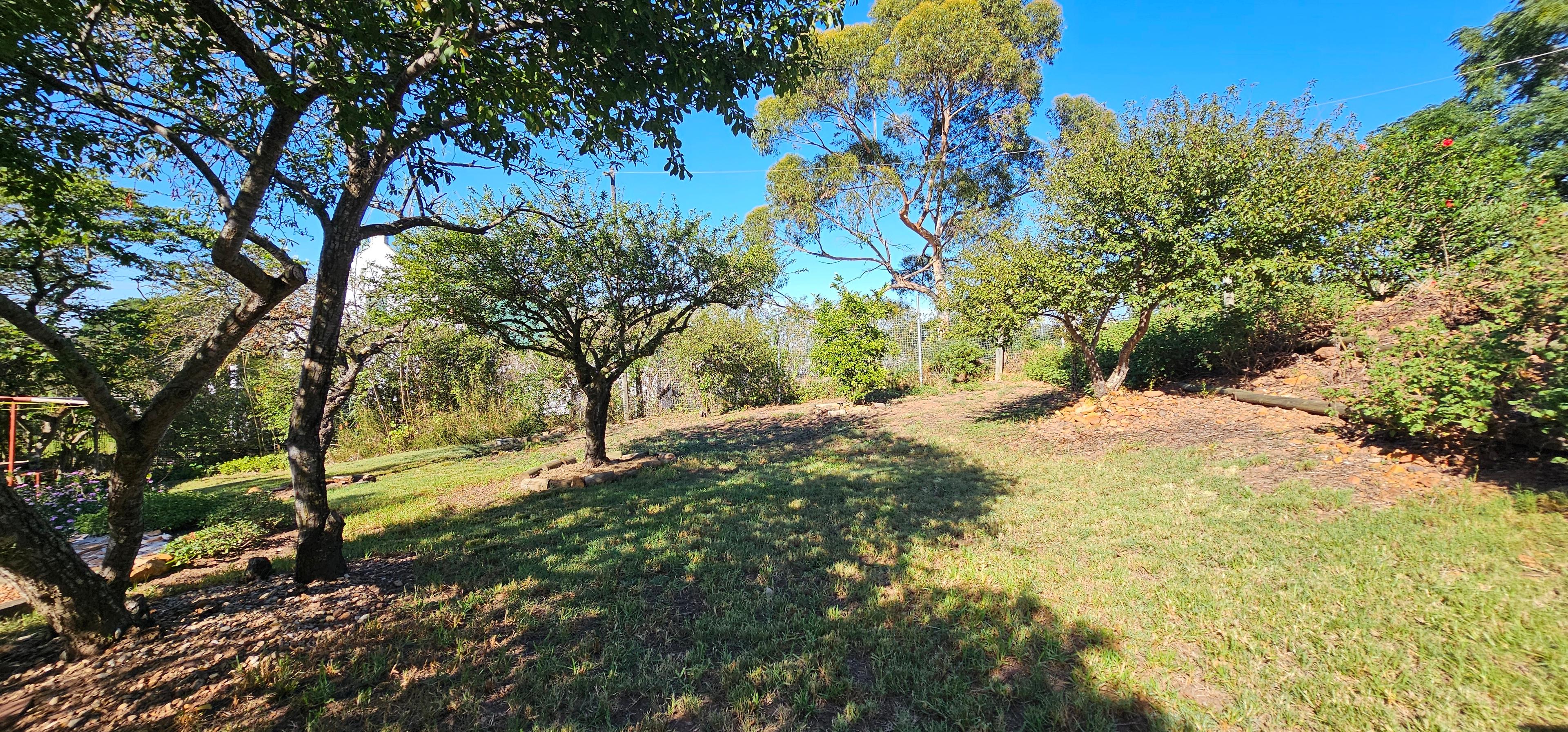 Image 30