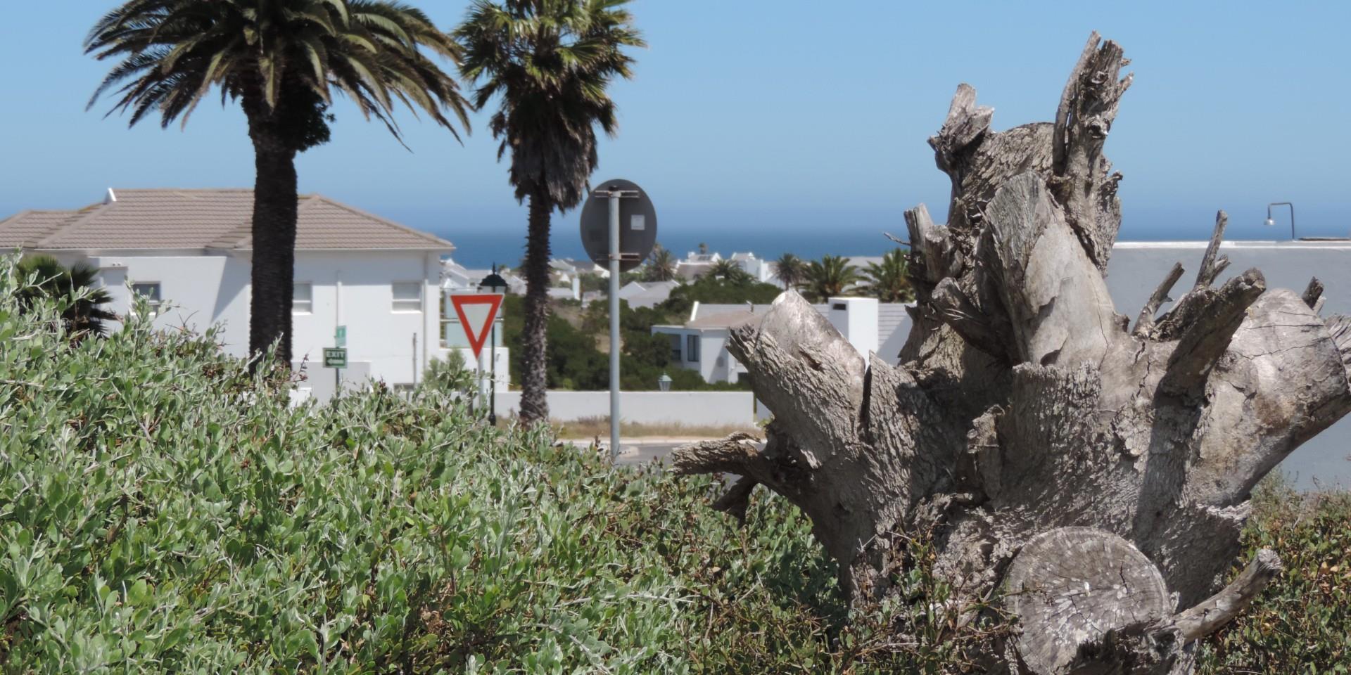 Image 4 of 6