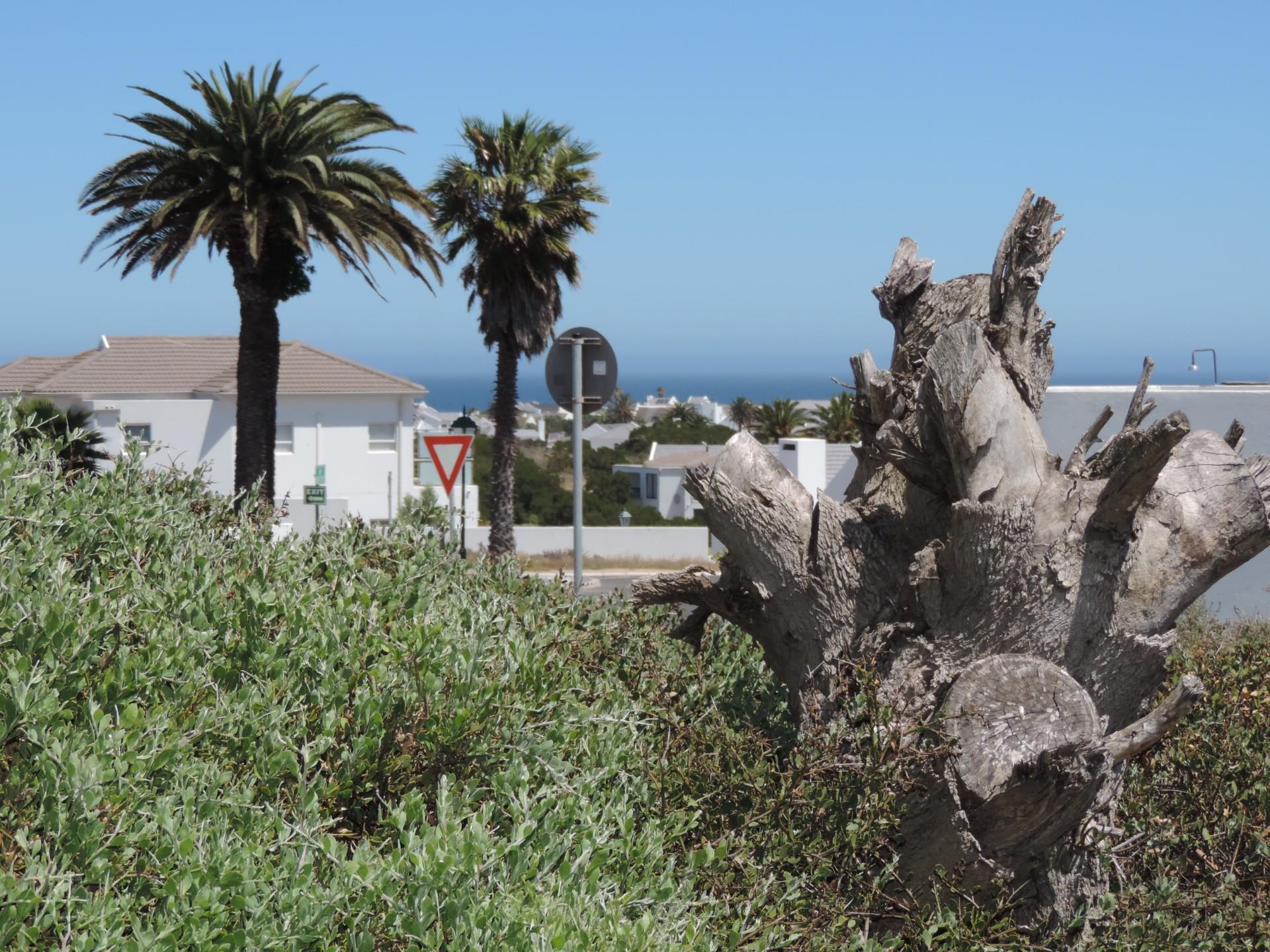 Image 4 of 6