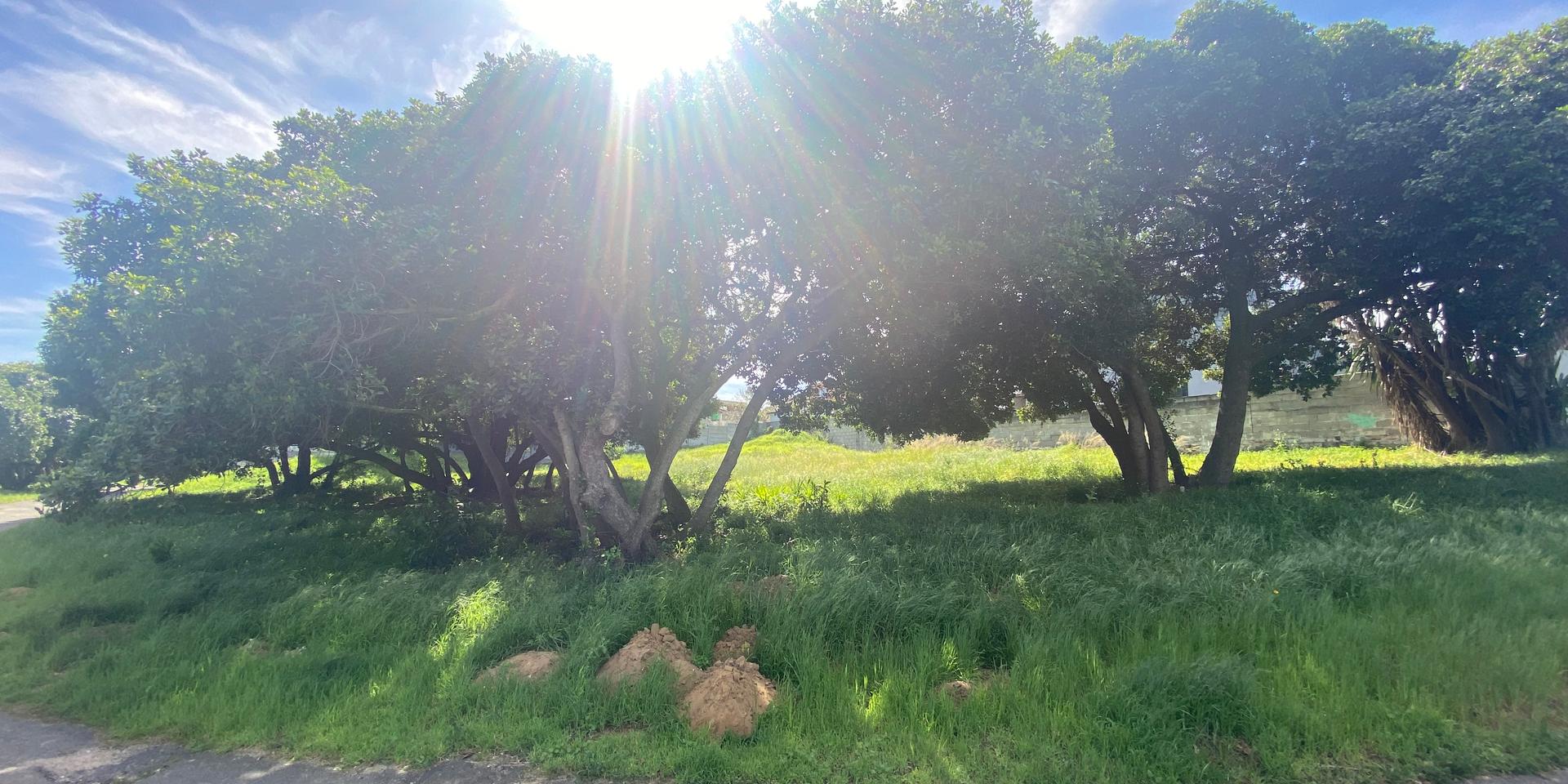 Image 4 of 6