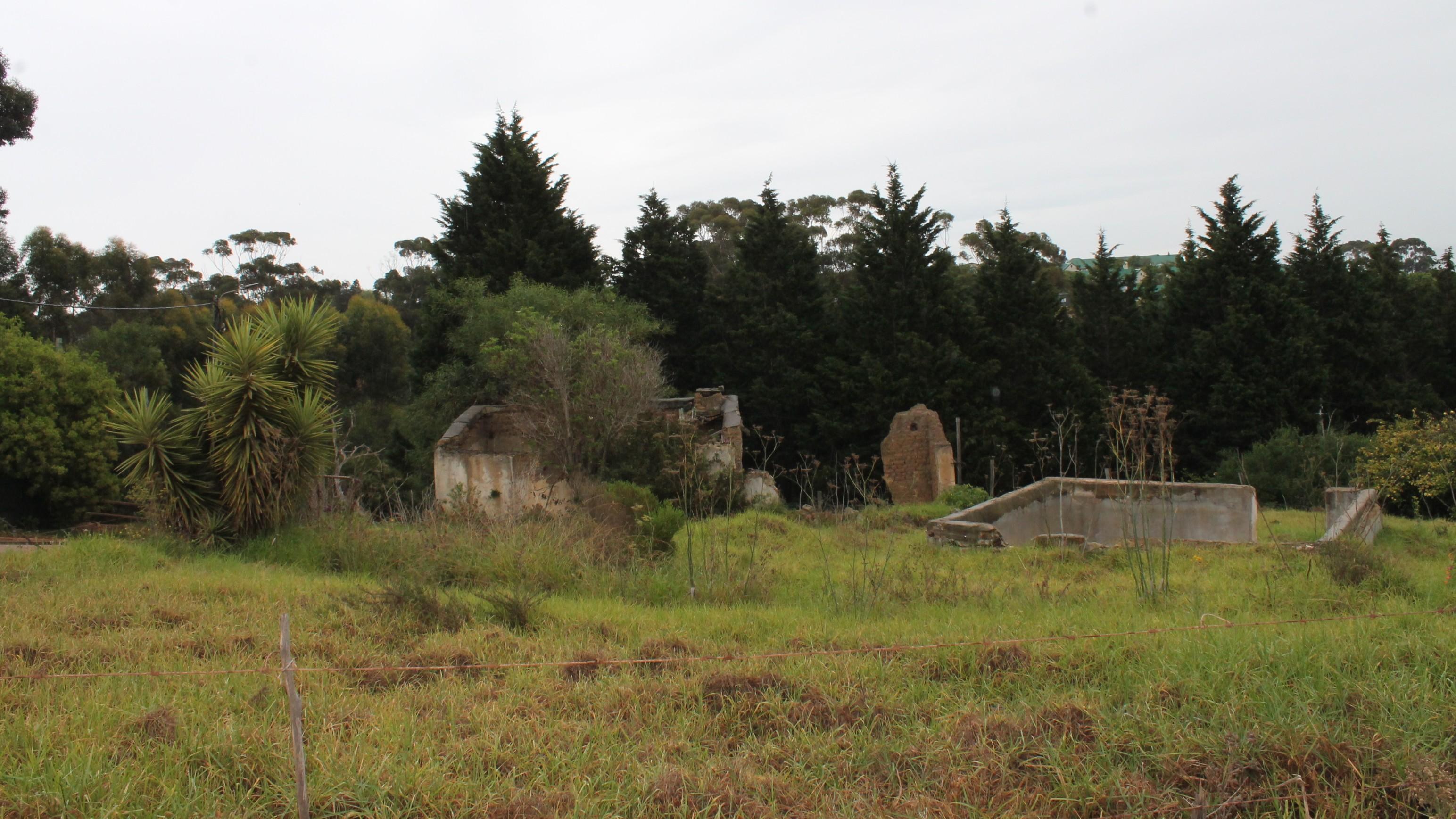 Image 14