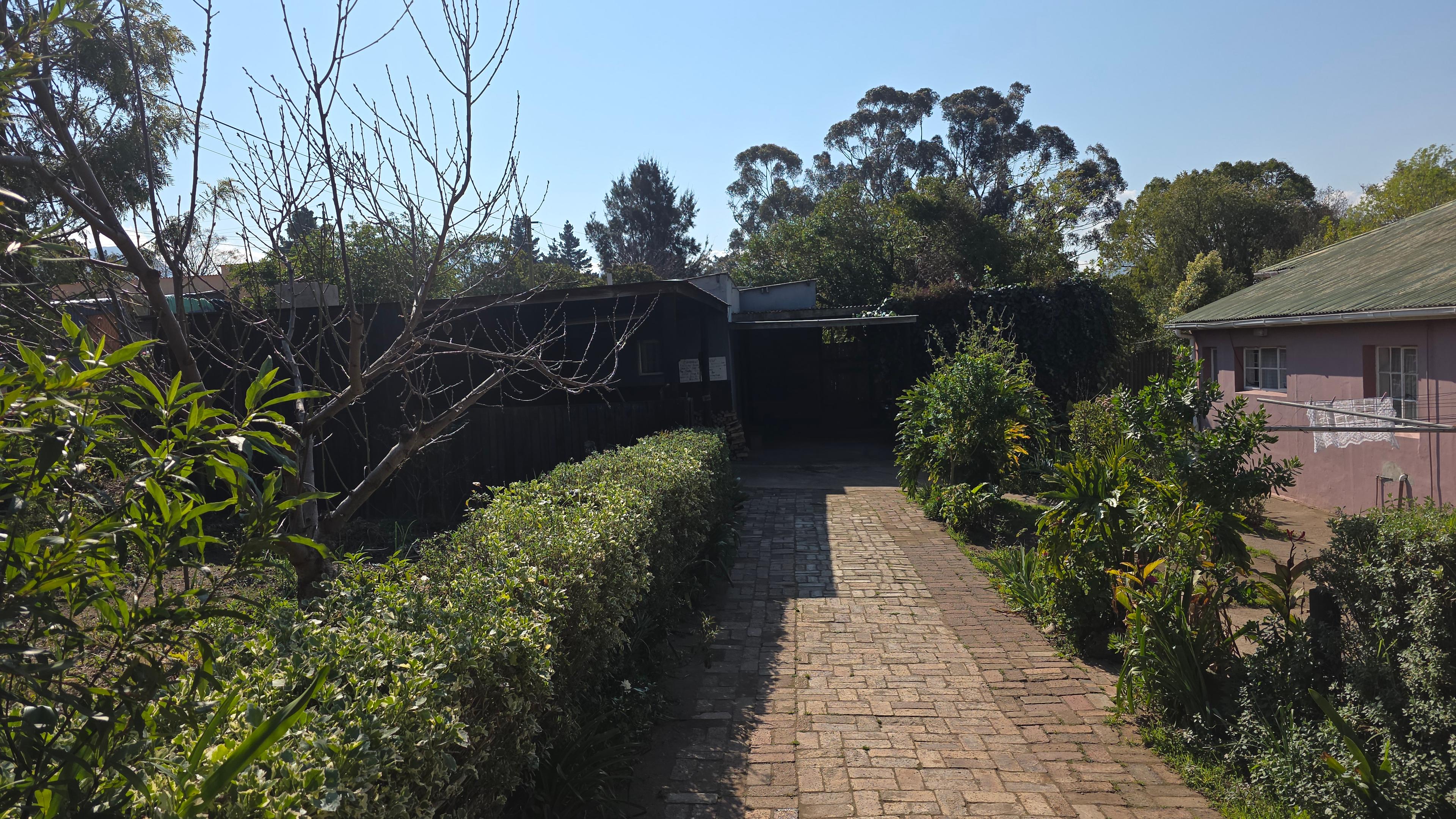 Image 19