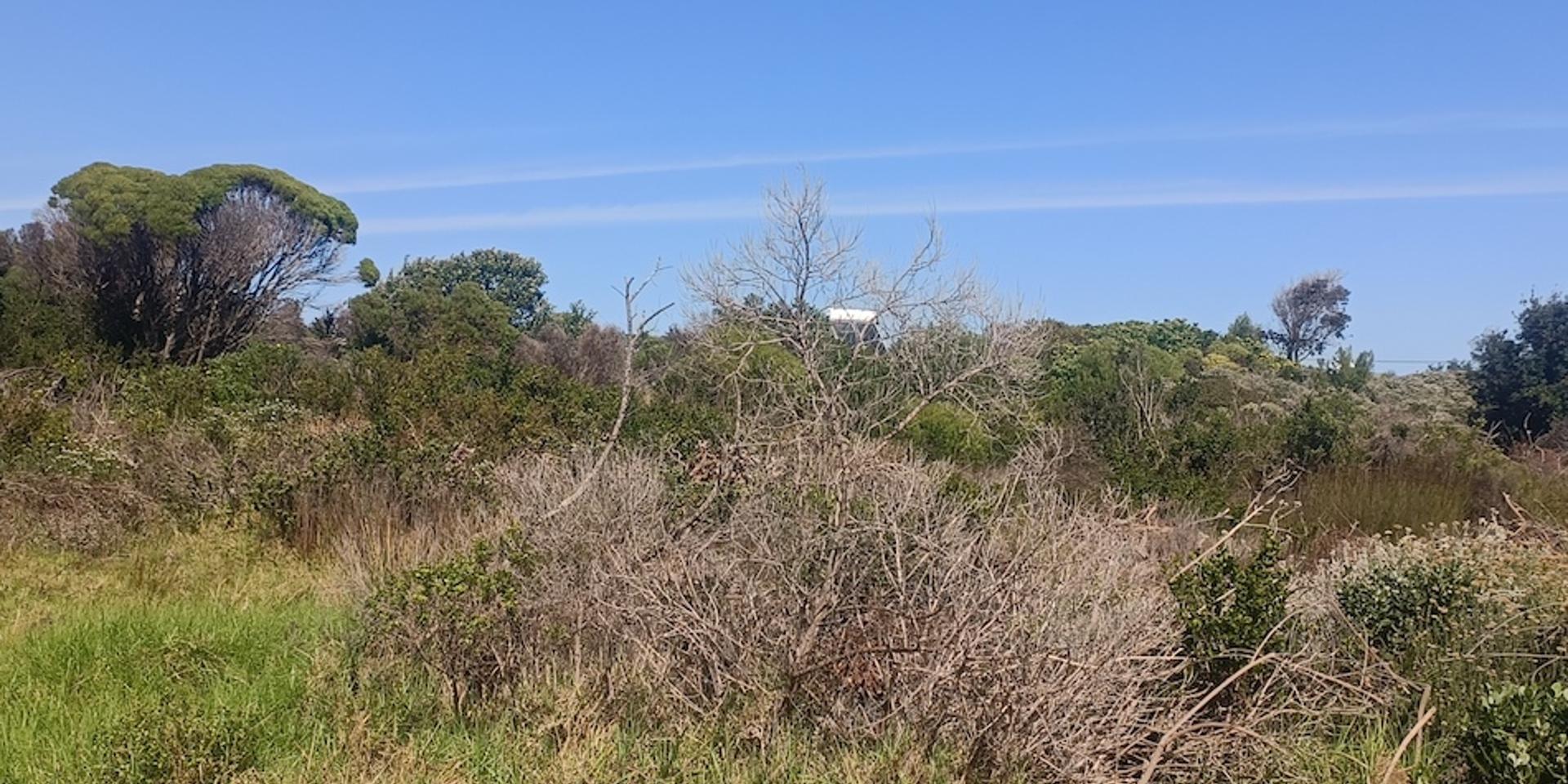 Image 5 of 6