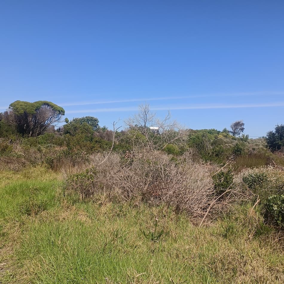 Image 5 of 6