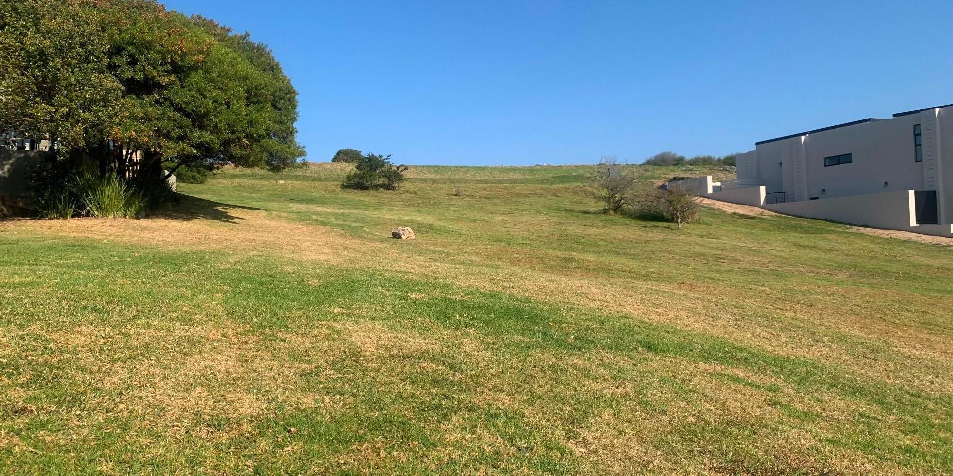 Image 5 of 6