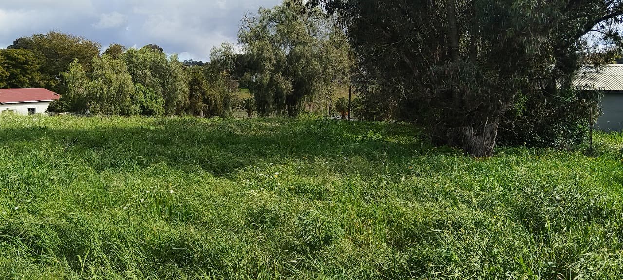 Image 15
