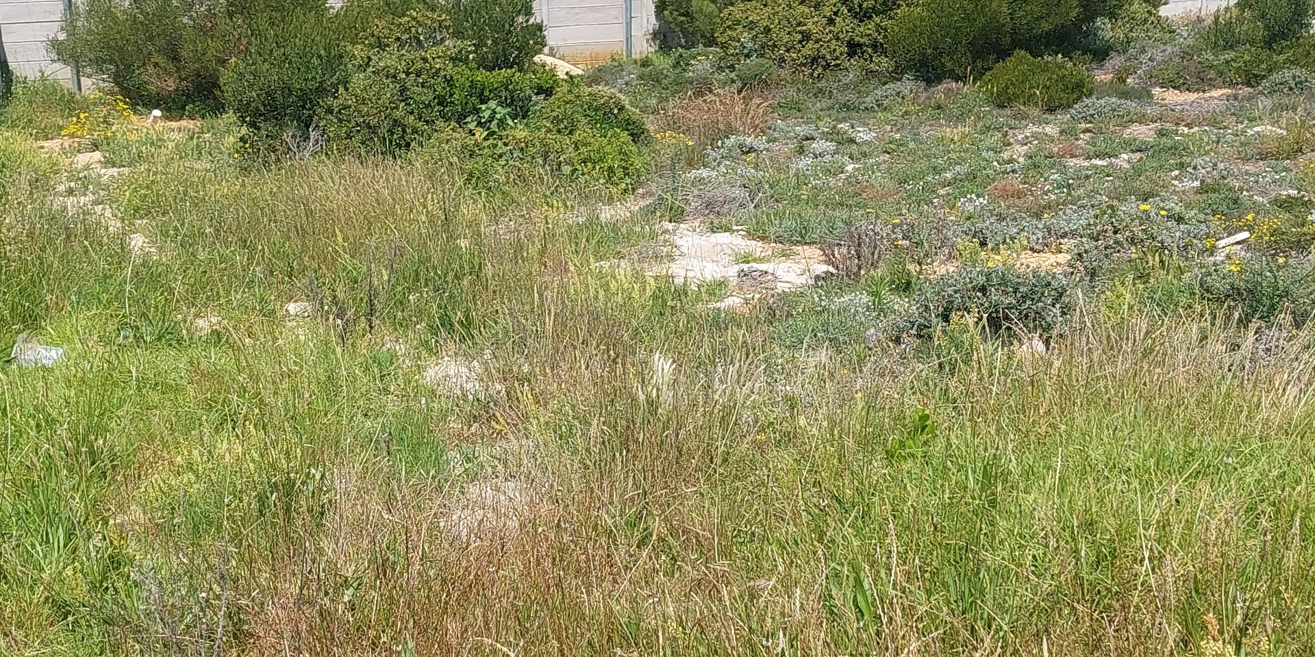 Image 4 of 6
