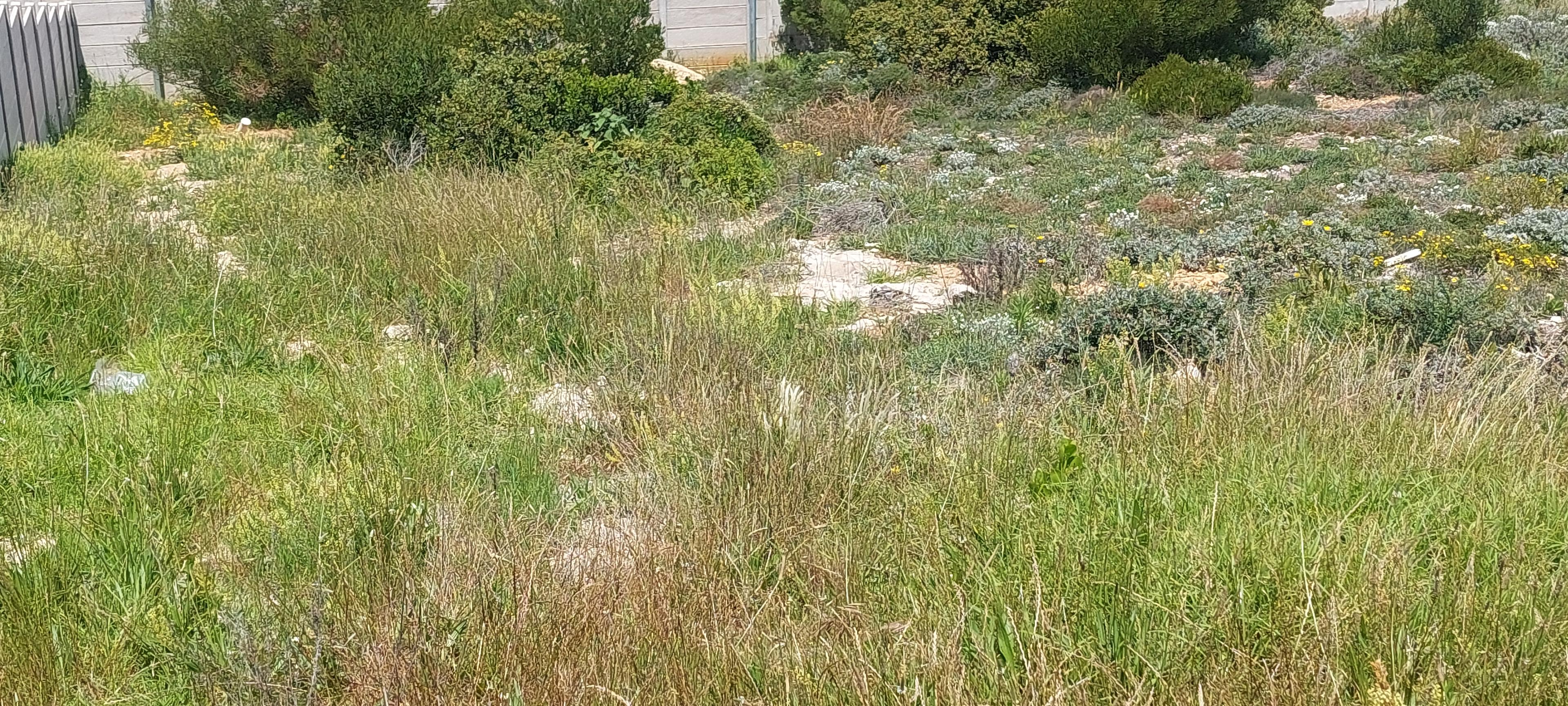 Image 4 of 6