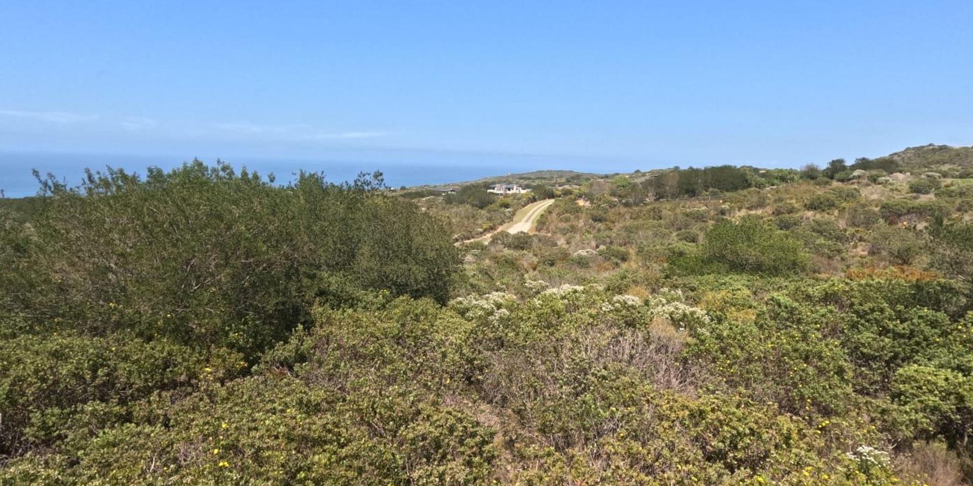 Image 5 of 6