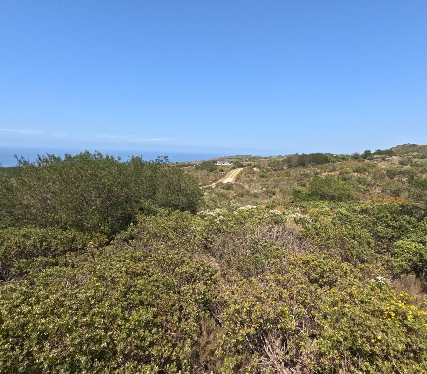 Image 5 of 6