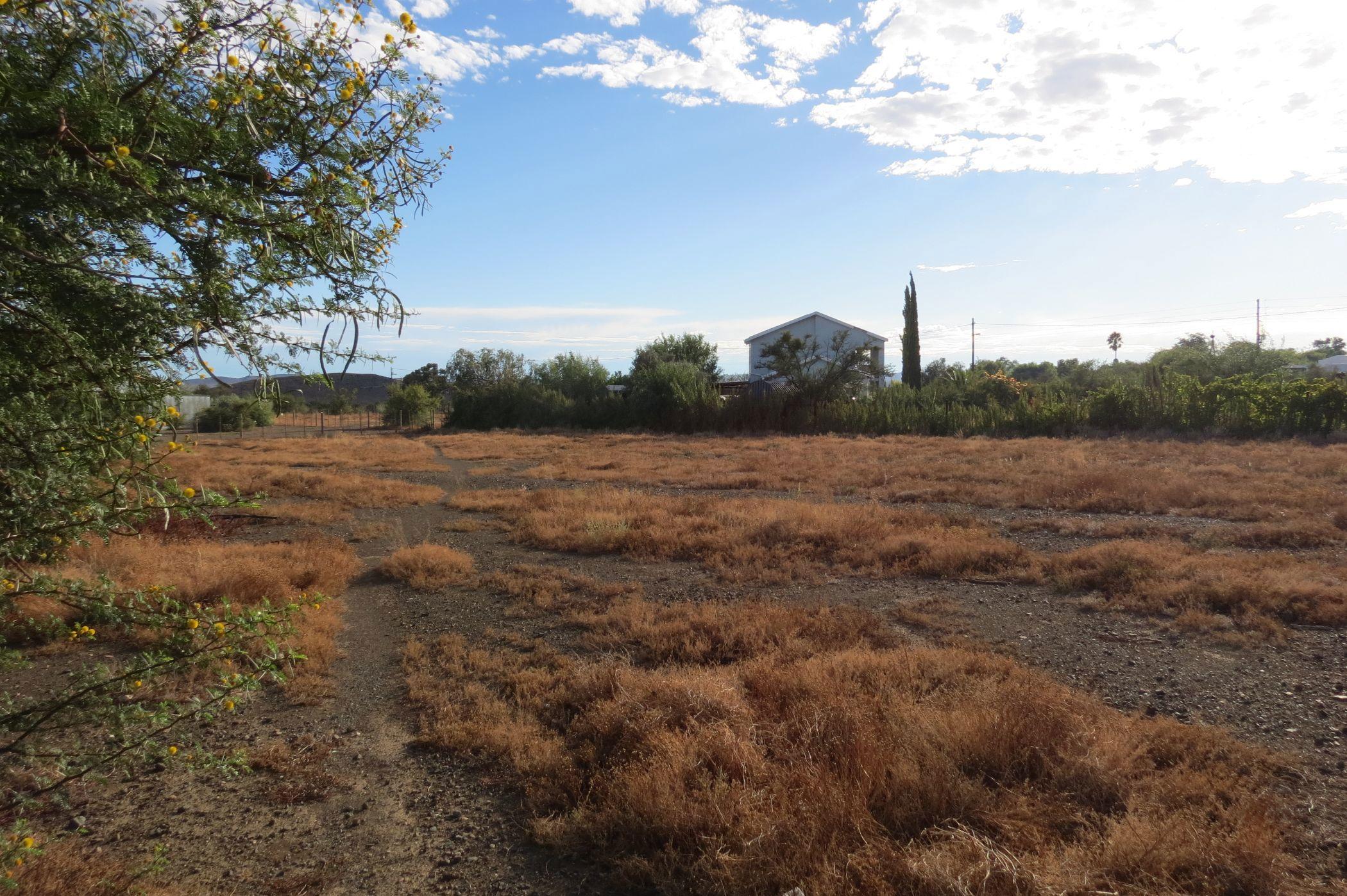 Image 4 of 6