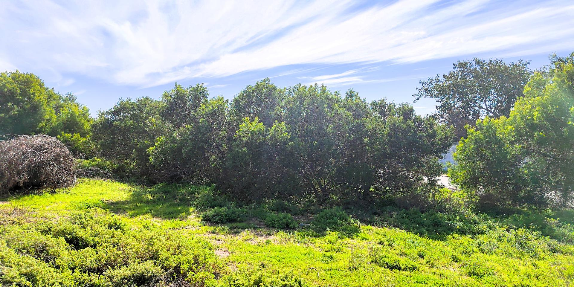 Image 5 of 6