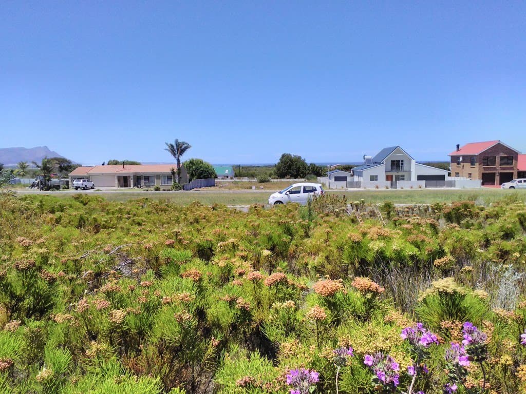 Image 3 of 6