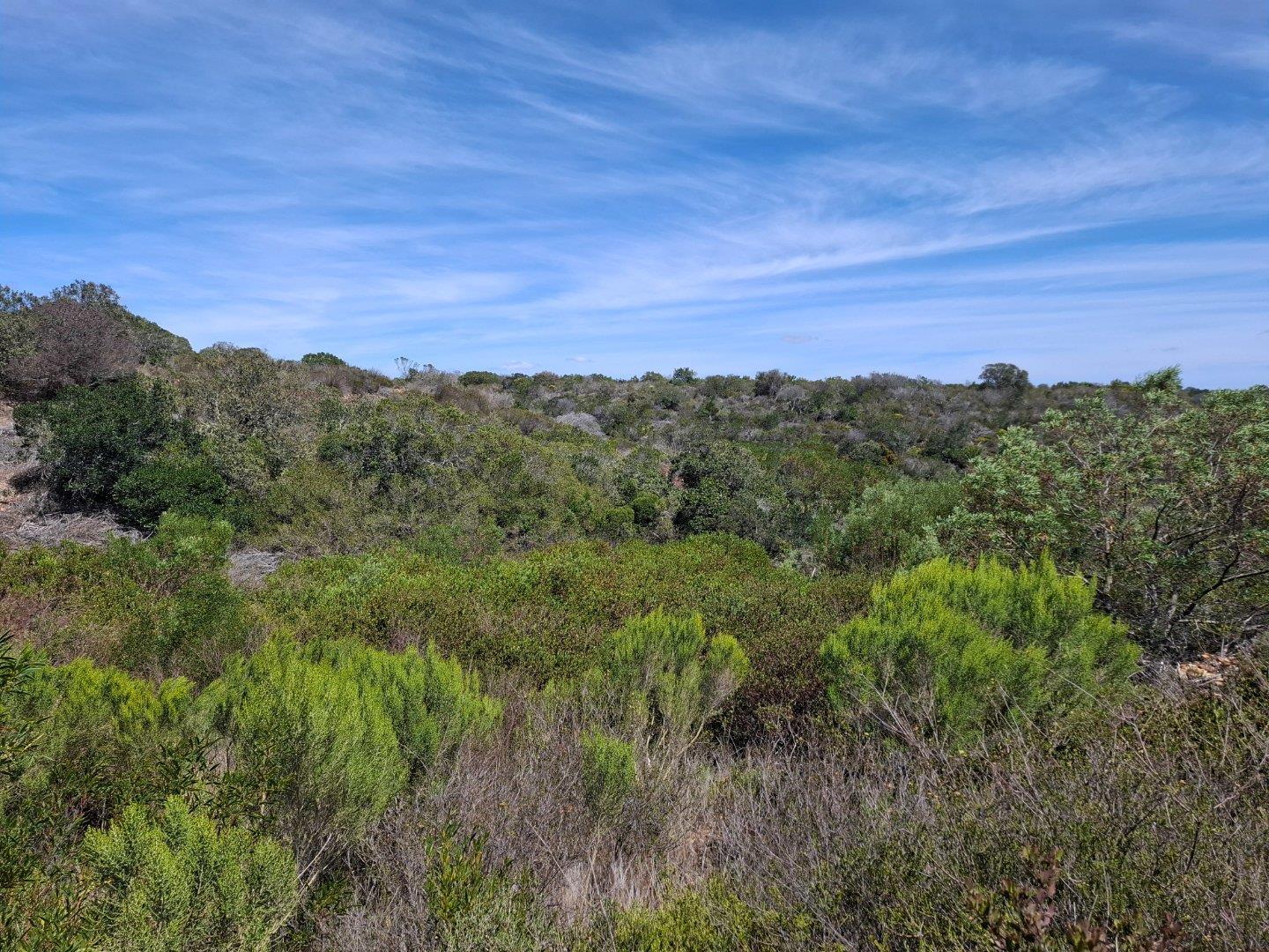 Image 63
