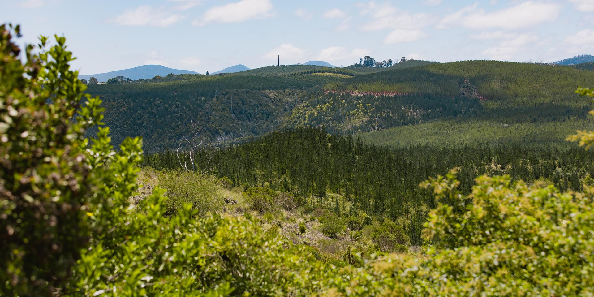 Image 4 of 6