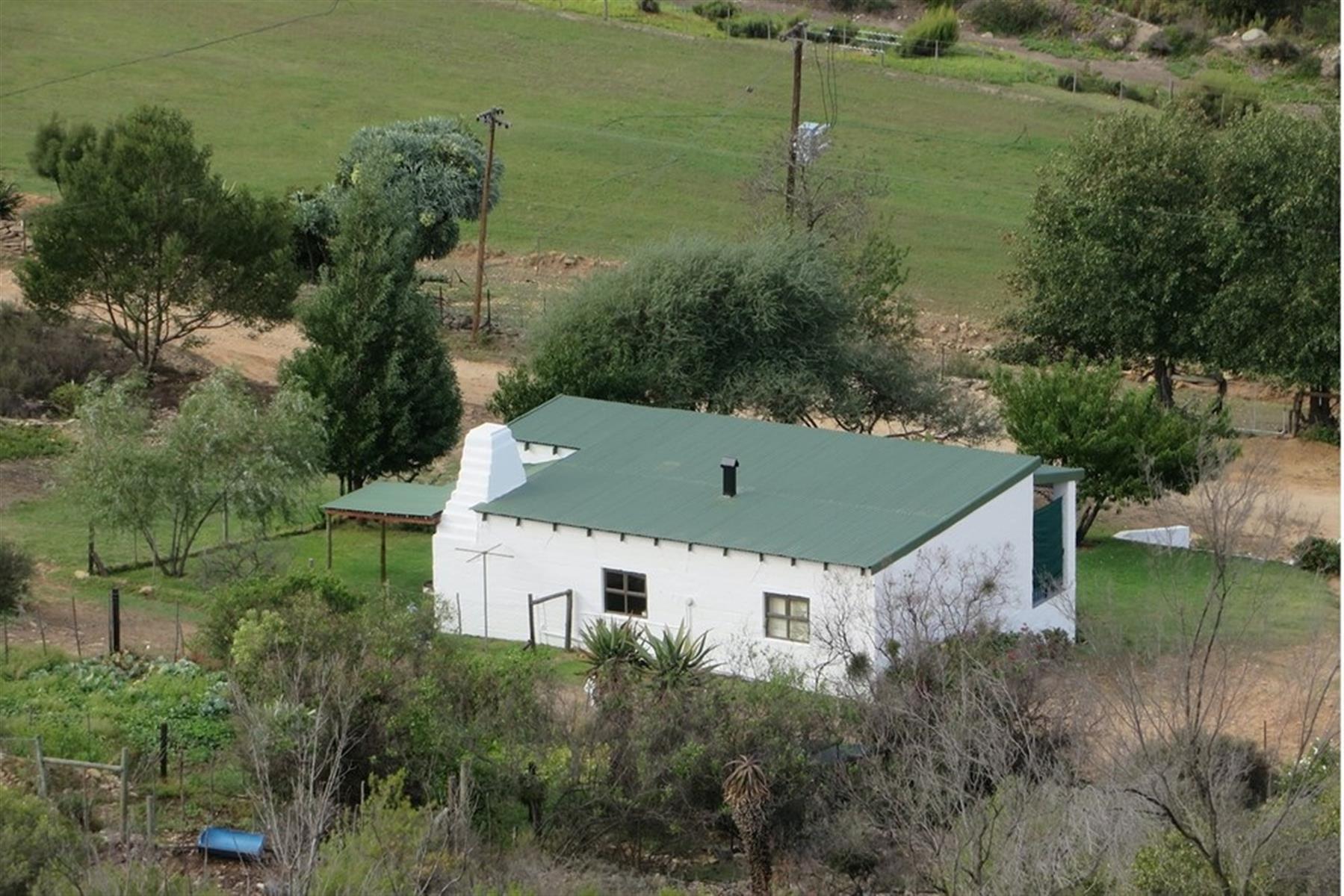 Image 61