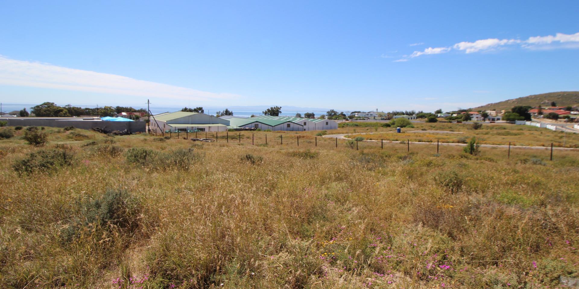 Image 4 of 6