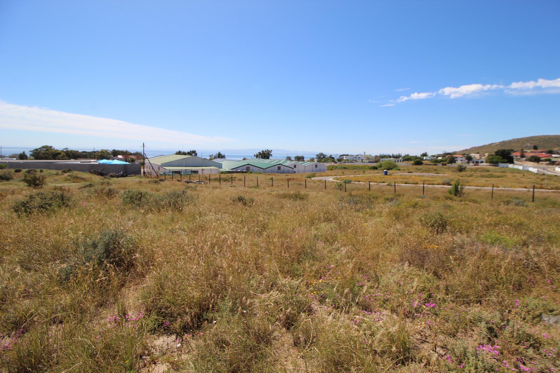 Image 4 of 6