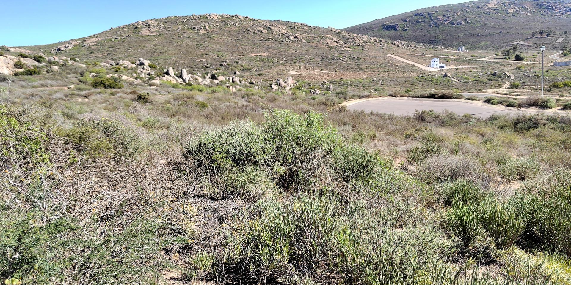 Image 4 of 6