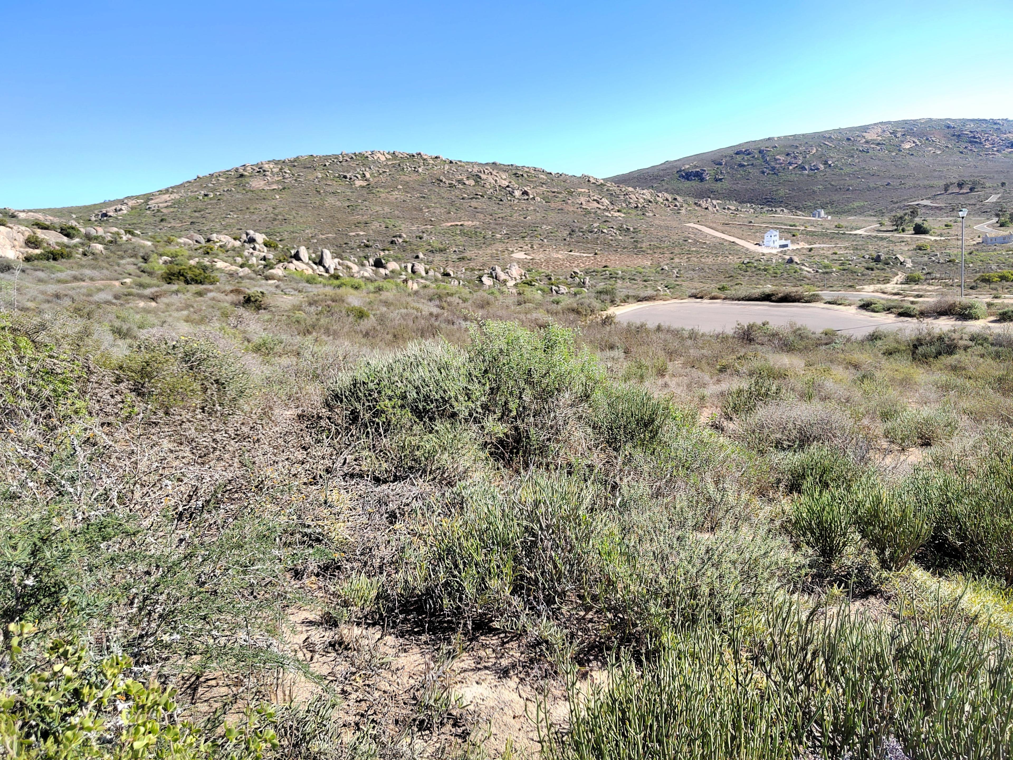 Image 4 of 6
