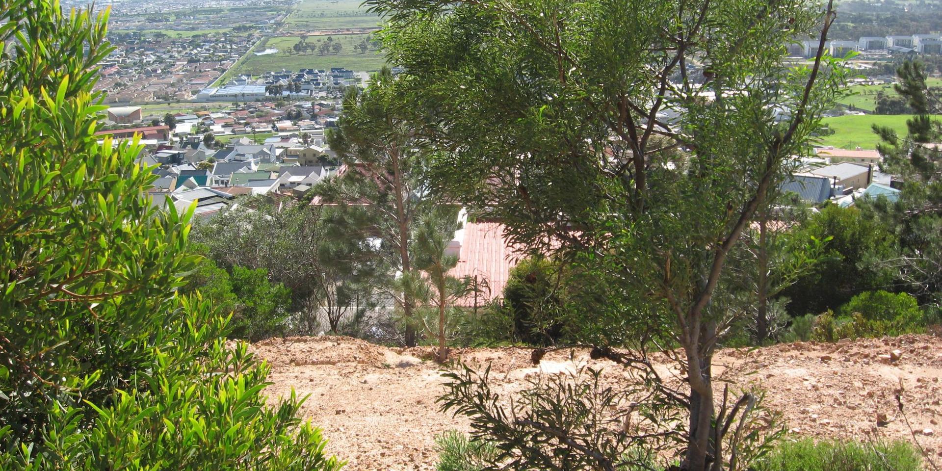 Image 4 of 6