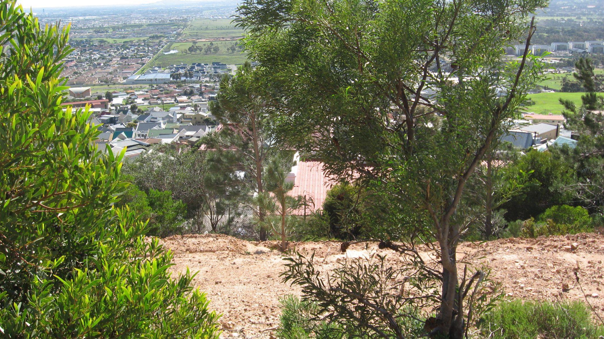 Image 5 of 6